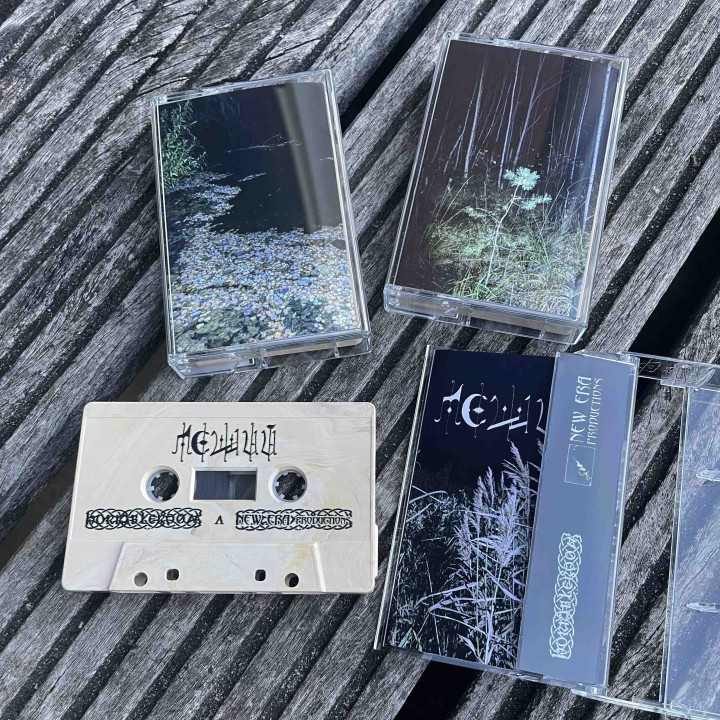 Леший – Почва TAPE