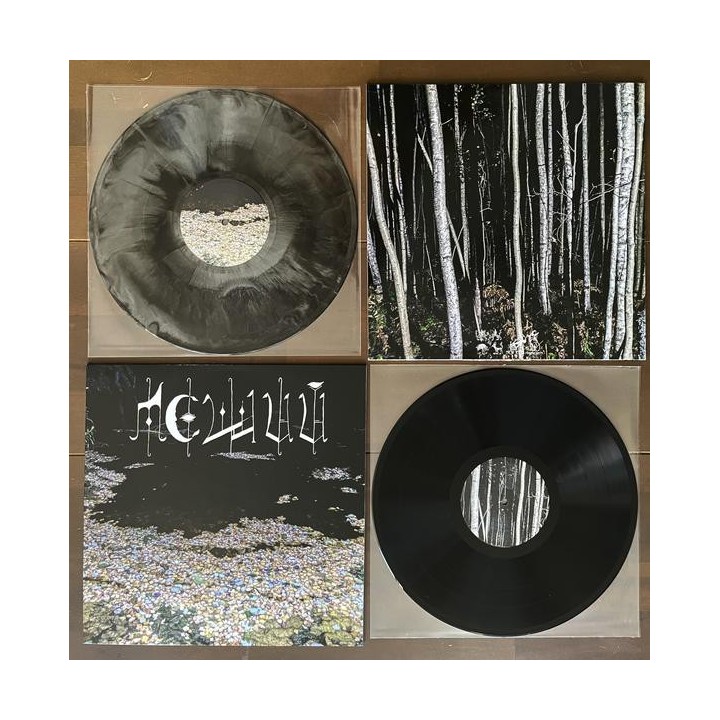 Леший – Почва LP (Black vinyl)