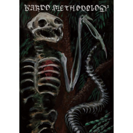 Bardo Methodology nr.4 Profanatica, Primordial, Solstice, Black Funeral, Countess etc.
