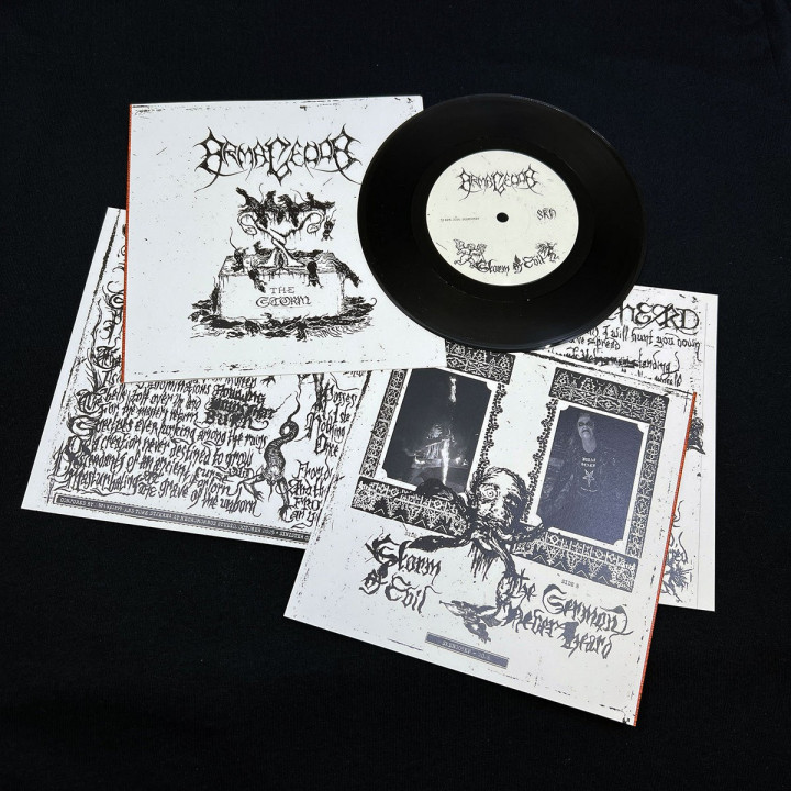 Armagedda - The Storm 7" EP