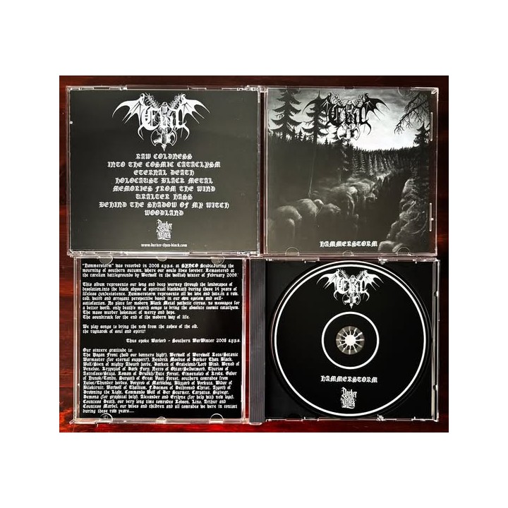 Evil - Hammerstorm CD